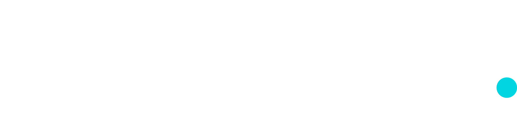 Softpoint